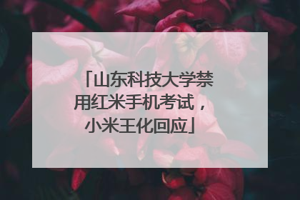 山东科技大学禁用红米手机考试，小米王化回应