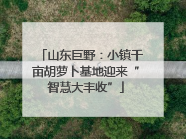 山东巨野：小镇千亩胡萝卜基地迎来“智慧大丰收”