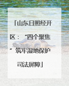 山东日照经开区：“四个聚焦”筑牢湿地保护司法屏障