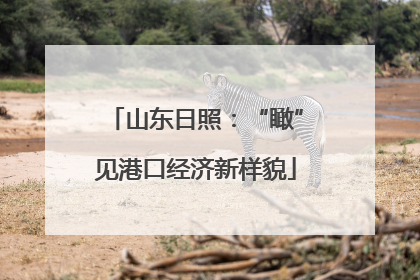 山东日照：“瞰”见港口经济新样貌