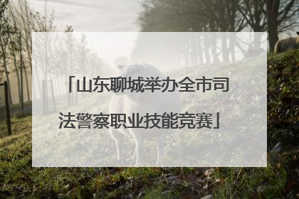 山东聊城举办全市司法警察职业技能竞赛
