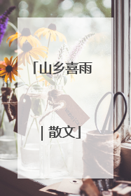 山乡喜雨｜散文