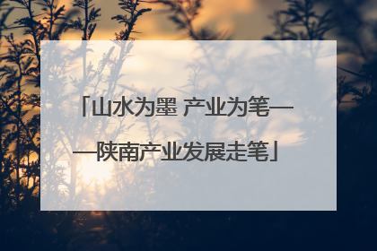 山水为墨 产业为笔——陕南产业发展走笔
