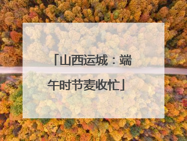 山西运城：端午时节麦收忙