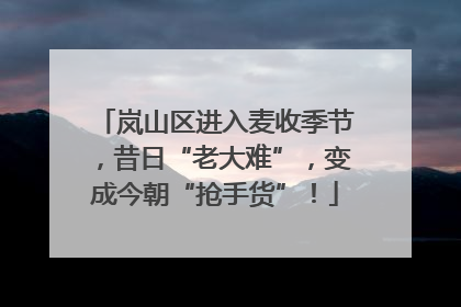 岚山区进入麦收季节，昔日“老大难”，变成今朝“抢手货”！