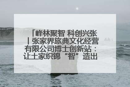 峰林聚智 科创兴张丨张家界旅典文化经营有限公司博士创新站：让土家织锦“智”造出非遗新传奇