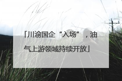 川渝国企“入场”，油气上游领域持续开放