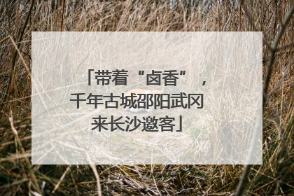 带着“卤香”，千年古城邵阳武冈来长沙邀客
