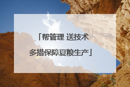 帮管理 送技术 多措保障夏粮生产