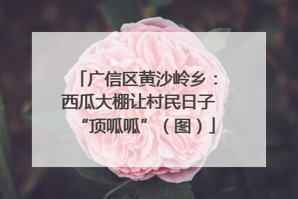 广信区黄沙岭乡：西瓜大棚让村民日子“顶呱呱”（图）