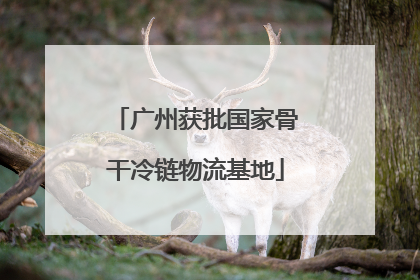 广州获批国家骨干冷链物流基地