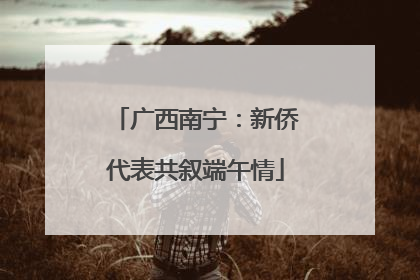 广西南宁：新侨代表共叙端午情