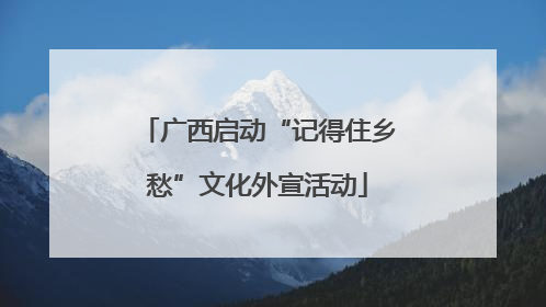 广西启动“记得住乡愁”文化外宣活动