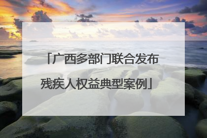 广西多部门联合发布残疾人权益典型案例