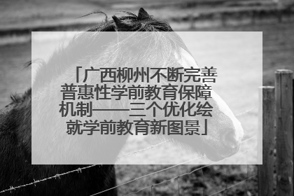 广西柳州不断完善普惠性学前教育保障机制——三个优化绘就学前教育新图景