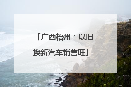 广西梧州：以旧换新汽车销售旺
