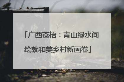 广西苍梧：青山绿水间绘就和美乡村新画卷