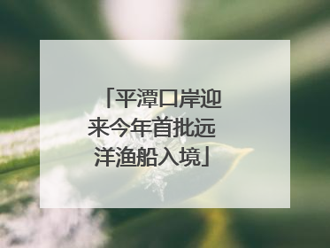 平潭口岸迎来今年首批远洋渔船入境