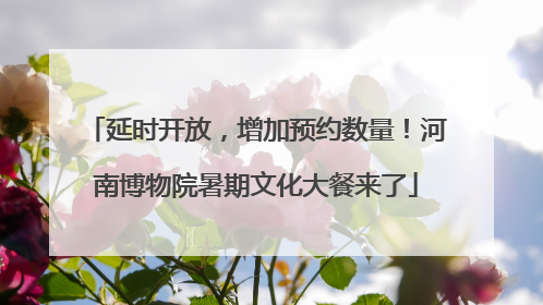 延时开放，增加预约数量！河南博物院暑期文化大餐来了