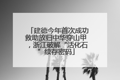 建德今年首次成功救助放归中华穿山甲，浙江破解“活化石”续存密码