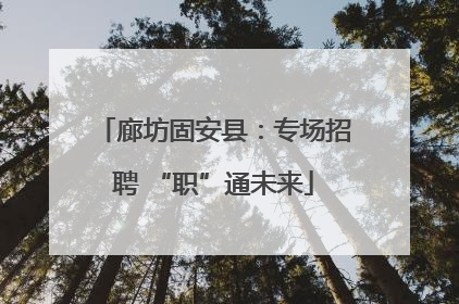 廊坊固安县：专场招聘 “职”通未来