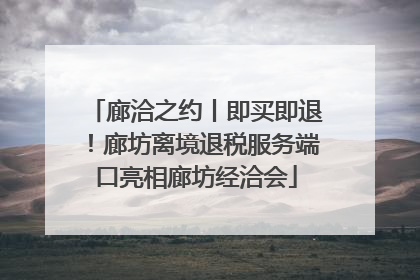 廊洽之约丨即买即退！廊坊离境退税服务端口亮相廊坊经洽会