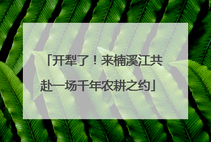 开犁了！来楠溪江共赴一场千年农耕之约