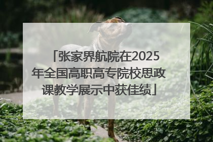 张家界航院在2025年全国高职高专院校思政课教学展示中获佳绩