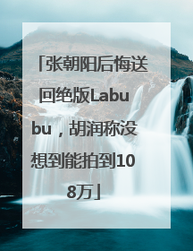 张朝阳后悔送回绝版Labubu，胡润称没想到能拍到108万