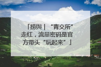 捞舆｜“青交所”走红，流量密码是官方带头“玩起来”