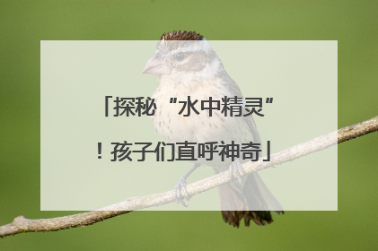 探秘“水中精灵”！孩子们直呼神奇