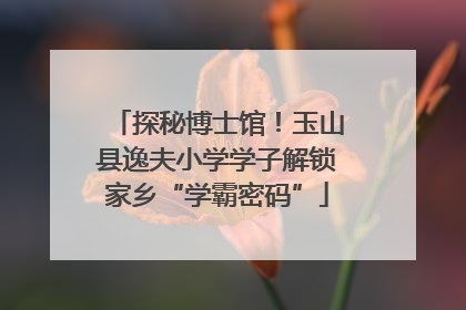 探秘博士馆！玉山县逸夫小学学子解锁家乡“学霸密码”