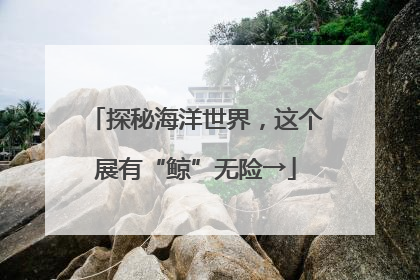 探秘海洋世界，这个展有“鲸”无险→