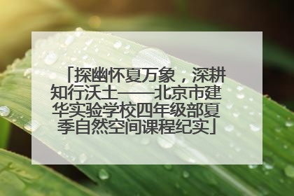 探幽怀夏万象，深耕知行沃土——北京市建华实验学校四年级部夏季自然空间课程纪实
