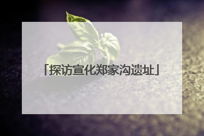探访宣化郑家沟遗址