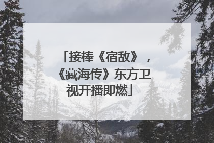 接棒《宿敌》，《藏海传》东方卫视开播即燃