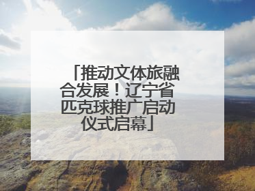 推动文体旅融合发展！辽宁省匹克球推广启动仪式启幕