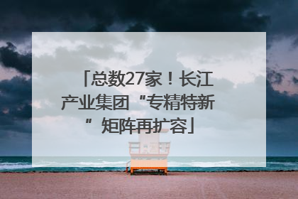 总数27家！长江产业集团“专精特新”矩阵再扩容