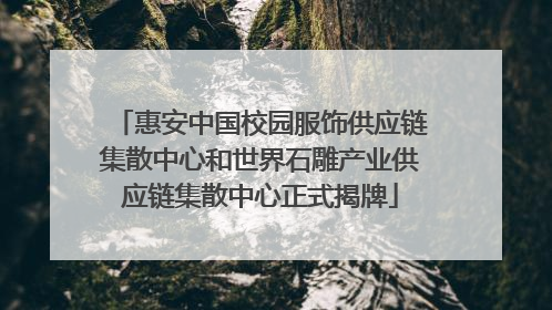 惠安中国校园服饰供应链集散中心和世界石雕产业供应链集散中心正式揭牌