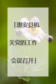 惠安县机关党的工作会议召开