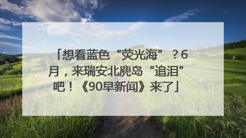 想看蓝色“荧光海”？6月，来瑞安北麂岛“追泪”吧！《90早新闻》来了