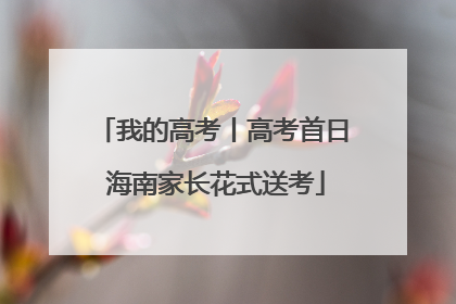 我的高考丨高考首日 海南家长花式送考