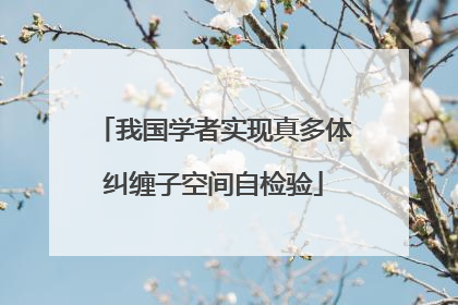 我国学者实现真多体纠缠子空间自检验