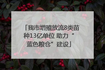 我市增殖放流8类苗种13亿单位 助力“蓝色粮仓”建设