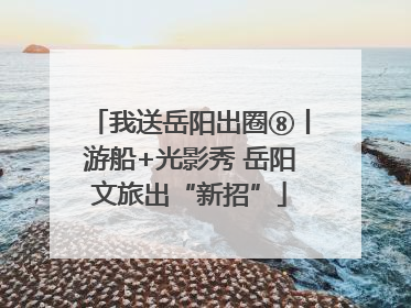 我送岳阳出圈⑧丨游船+光影秀 岳阳文旅出“新招”