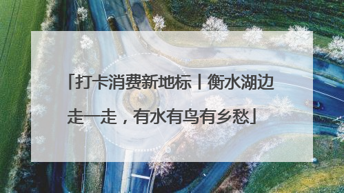 打卡消费新地标丨衡水湖边走一走，有水有鸟有乡愁