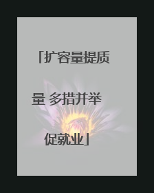 扩容量提质量 多措并举促就业