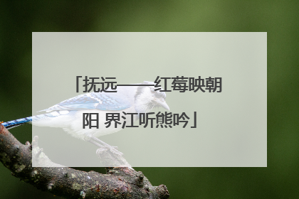 抚远——红莓映朝阳 界江听熊吟