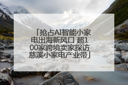 抢占AI智能小家电出海新风口 超100家跨境卖家探访慈溪小家电产业带