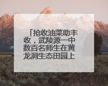 抢收油菜助丰收，武陵源一中数百名师生在黄龙洞生态田园上演“青春助农记”